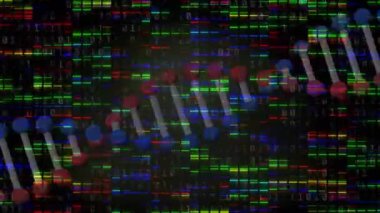 Siyah arkaplanda ışıklarla dönen DNA animasyonu. veri işleme, bilim ve teknoloji konsepti dijital olarak oluşturulmuş video.