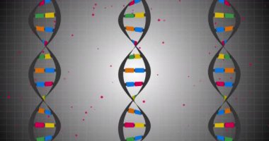 Beyaz arka plandaki DNA iplikçiklerinin animasyonu. küresel bilim ve dijital arayüz kavramı dijital olarak oluşturulmuş video.