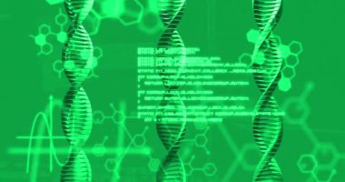 Yeşil arka planda DNA ipliği ve veri işleme animasyonu. küresel bilim ve dijital arayüz kavramı dijital olarak oluşturulmuş video.