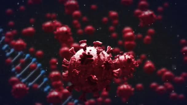 Animáció Vörös Vírus Sejtek Felett Dns Fekete Alapon Globális Kovid — Stock videók