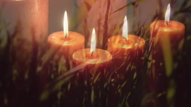 牧草地や草の上に灯されたキャンドルのアニメーション 世界の自殺予防の日の概念デジタル生成されたビデオ — ストック動画