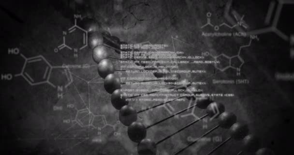 Dna链纺丝过程中化学结构的动画化和数据处理 全球科学 数据处理 连接和云计算概念数字生成视频 — 图库视频影像