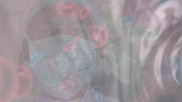 Animation Von Viruszellen Und Blutzellen Über Kaukasischen Männlichen Arzt Gesichtsmaske — Stockvideo