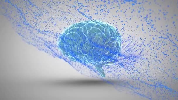 Animacja Niebieskiego Brokatu Nad Mózgiem Obracającym Się Szarym Tle Nauka — Wideo stockowe
