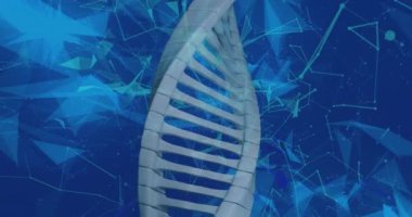 Bağlantı ağlarının animasyonu ve DNA iplikçiklerinin dönmesi. Küresel bilim, tıp ve sağlık hizmetleri kavramı dijital olarak üretilen video.