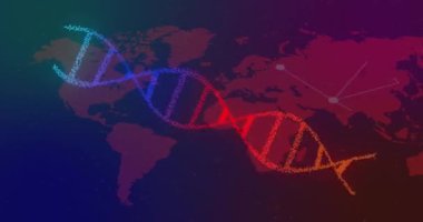 DNA iplikçiklerinin dönüşünün animasyonu ve dünya haritasında bağlantılar. küresel bilim, araştırma ve veri işleme kavramı dijital olarak oluşturulmuş video.