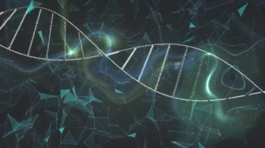 Bağlantı ağlarının animasyonu ve DNA iplikçiklerinin dönmesi. Küresel bilim, tıp ve sağlık hizmetleri kavramı dijital olarak üretilen video.