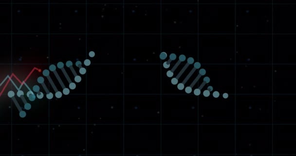 Kırmızı Grafiğe Karşı Dönen Dna Yapıları Siyah Arkaplana Karşı Şebeke — Stok video