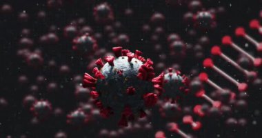 Koyu arkaplana düşen 19 hücrenin üzerinde dönen DNA iplikçiklerinin animasyonu. küresel covid 19 salgın konsepti dijital olarak oluşturulmuş video.