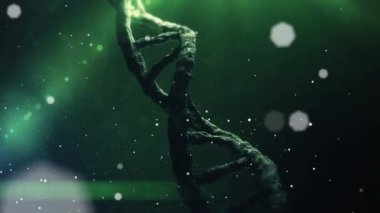 Karanlık arka planda dönen DNA ipliği üzerine düşen noktaların animasyonu. küresel bilim, bağlantılar, veri işleme ve dijital arayüz kavramı dijital olarak oluşturulmuş video.