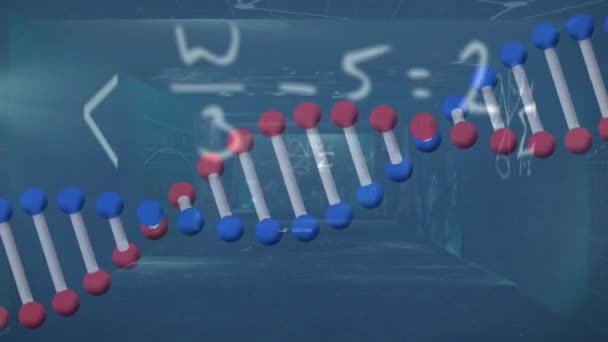 Анимация Обработки Данных Цепочки Днк Черном Фоне Глобальный Бизнес Цифровой — стоковое видео