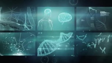 Veri işleme üzerinden bağlantı ağının animasyonu. küresel bağlantılar, bilim ve dijital arayüz konsepti dijital olarak oluşturulmuş video.