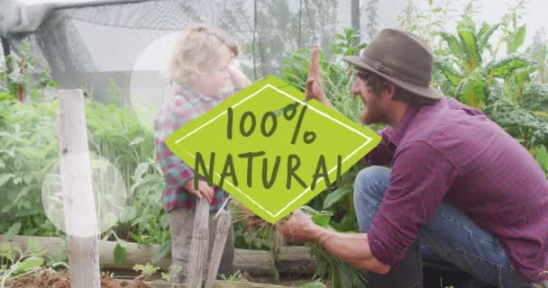 Animation 100 Percent Natural Text Caucasian Father Son Gardening Global — Vídeo de stock