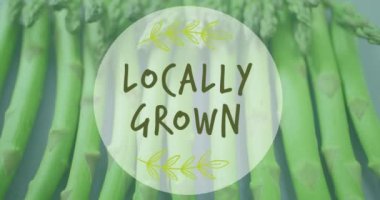 Animation of locally grown text over asparagus. Global ecology, organic and digital interface concept digitally generated video.