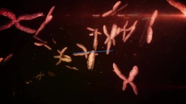 Karanlık arka planda dönen DNA ipliklerinin üzerine düşen noktaların animasyonu. küresel bilim, bağlantılar, veri işleme ve dijital arayüz kavramı dijital olarak oluşturulmuş video.