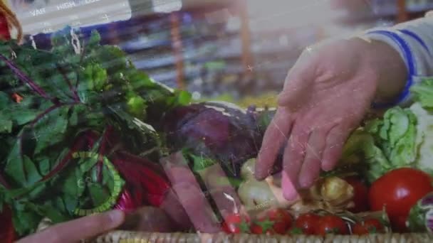 女性蔬菜水果商 顾客和菜篮手上的数据处理动画 新鲜素食 植物性饮食 健康饮食概念数码视频 — 图库视频影像
