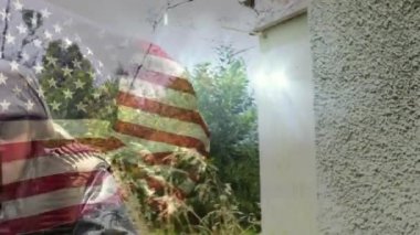 Amerikan bayrağının animasyonu makineli tüfekli Kafkas askerinin üzerinde. Vatanseverlik ve kutlama konsepti dijital olarak oluşturulmuş video.