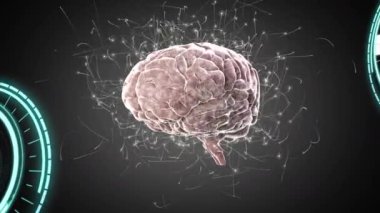 Koyu arkaplandaki beyin ile dijital arayüzün animasyonu. küresel bilim, bağlantılar, veri işleme ve dijital arayüz kavramı dijital olarak oluşturulmuş video.