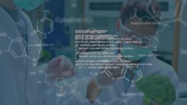 Kafkas erkek ve kadın bilim adamlarının sebzeli veri işleme animasyonu. küresel bilim ve dijital arayüz kavramı dijital olarak oluşturulmuş video.