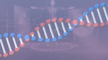 Veri işleme üzerindeki DNA iplikçiklerinin animasyonu. küresel bilim ve dijital arayüz kavramı dijital olarak oluşturulmuş video.