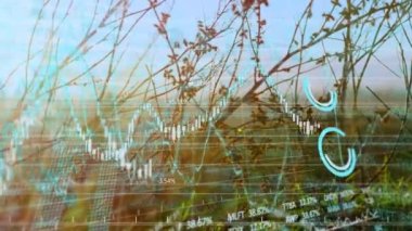 Finansal grafik ve verilerin saha üzerinde canlandırılması. küresel ekonomi, finans ve iş konsepti dijital olarak oluşturulmuş video.