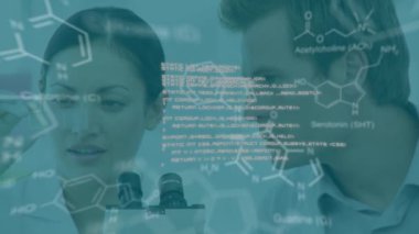 Animation of chemical formulas and data processing over diverse female and male lab workers. medicine, science and technology concept digitally generated video.