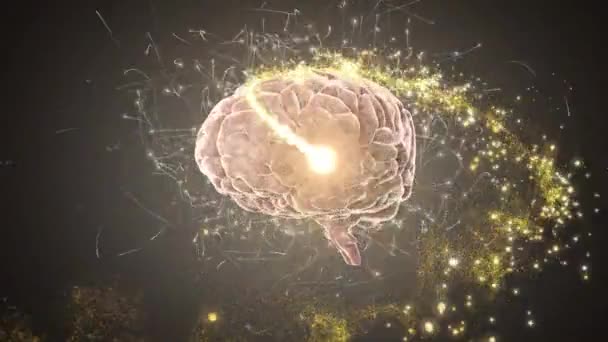 灰色の背景に人間の脳を回転させる上で黄金の流れ星のデジタルアニメーション 医学研究科学技術の概念は — ストック動画