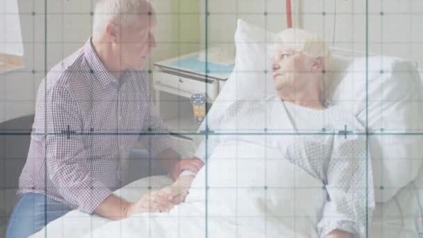 Animation Green Net Caucasian Senior Couple Talking Hospital Bed Senior — Stock video
