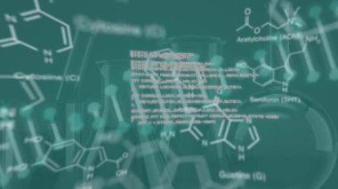DNA ipliği, veri işleme ve kimyasal formülün laboratuardaki boş deney şişeleri üzerinde animasyonu. küresel bilim, veri işleme ve dijital arayüz kavramı dijital olarak oluşturulmuş video.
