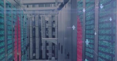 Sunucular üzerinden bağlantı ve veri animasyonu. Ağ, bağlantılar, iletişim, veri işleme ve teknoloji konsepti dijital olarak oluşturulmuş video.