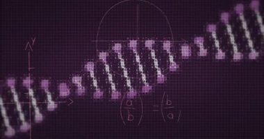 Matematik formülleriyle siyah arkaplan üzerinde dönen DNA animasyonu. Bilim, biyoloji ve matematik konsepti dijital olarak oluşturulmuş video.