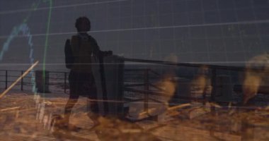 Animation of data processing and african american woman over chicken. Global technology, computing and digital interface concept digitally generated video.