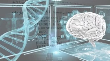 Dijital ekranlarda beyin, DNA ve anatomik verilerin animasyonu. İnsan anatomisi, biyoloji ve bilim konsepti dijital olarak oluşturulmuş video.