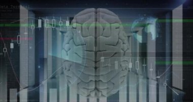 Sunucu odasında dijital beyin ile veri işleme ve tarama animasyonu. Küresel teknoloji, bilgisayar ve dijital arayüz kavramı dijital olarak oluşturulmuş video.