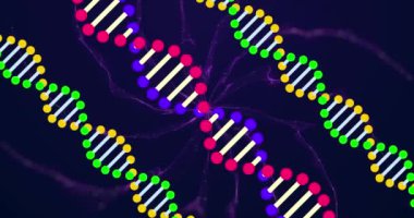 Hareket eden şekillerin ve siyah arkaplandaki DNA iplikçiklerinin animasyonu. retro gelecek ve soyut arkaplan konsepti dijital olarak oluşturulmuş video.