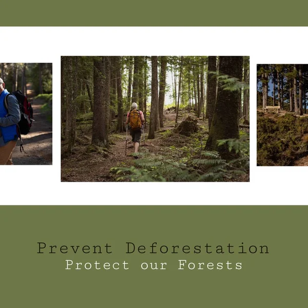 Collage Explorateurs Caucasiens Marchant Dans Les Bois Prévenir Déforestation Protéger — Photo