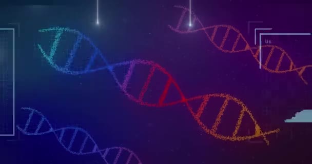 Анимирование Пользовательских Фотографий Dna Огней Синем Фиолетовом Фоне Подключения Сеть — стоковое видео