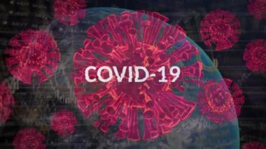 Covid 19 metin, hücre ve veri işleme animasyonu. küresel covid 19 salgın ve veri işleme konsepti dijital olarak oluşturulmuş video.