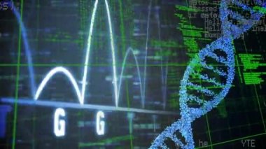 DNA iplikçiklerinin dönmesi ve veri işleme animasyonu. Küresel tıp bilimi ve veri işleme kavramı dijital olarak oluşturulmuş video.