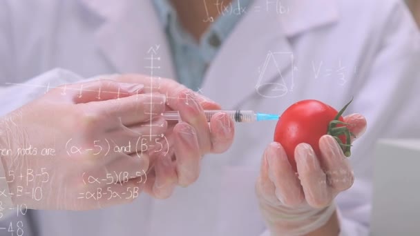 Animation Équations Mathématiques Sur Des Scientifiques Caucasiens Vaccinant Tomate Concept — Video