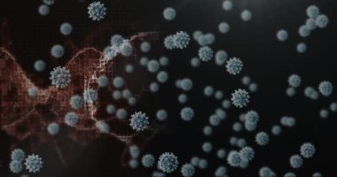 Coperid 19 hücrenin, DNA iplikçiklerinin ve insan beyninin animasyonu. küresel covid 19 salgın konsepti dijital olarak oluşturulmuş video.