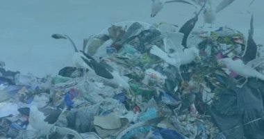 Çöp yığını üzerinde veri işleme animasyonu. Küresel iş ve dijital arayüz kavramı dijital olarak oluşturulmuş video.