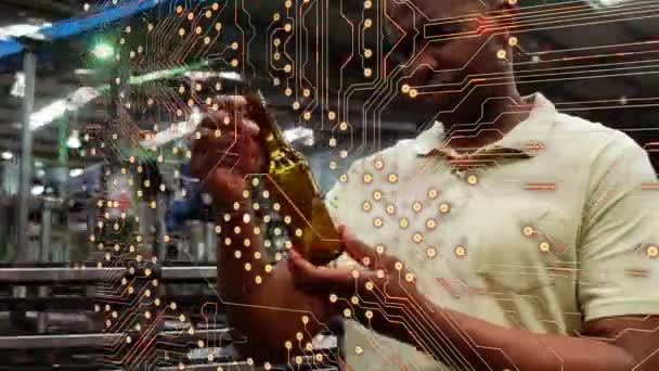 Animation Integrated Circuit Happy African Amerian Male Worker Checking Glass — Αρχείο Βίντεο