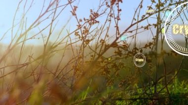 Elektrik direkleri üzerinde kripto, nft ve dolar sembolleriyle taramaların animasyonu. Küresel ekoloji, finans ve dijital arayüz kavramı dijital olarak oluşturulmuş video.