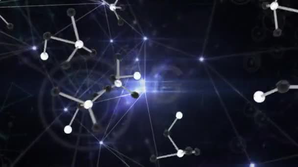 Animação Moléculas Caindo Sobre Rede Conexões Fundo Violeta Rede Conexões — Vídeo de Stock