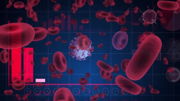 Animação Covid Glóbulos Vermelhos Processamento Dados Conceito Global Pandemia Processamento — Vídeo de Stock