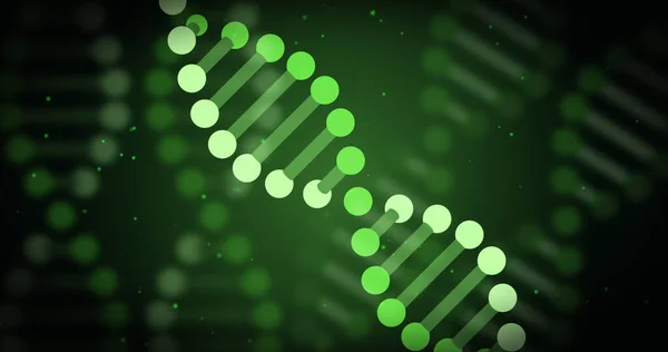 Image Dna Strand Data Processing Green Background Global Science Digital — Stock Photo, Image
