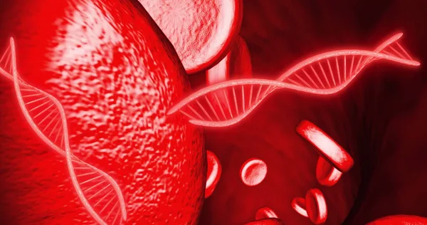 Imagen Hebras Adn Células Sanguíneas Sobre Fondo Rojo Concepto Ciencia — Foto de Stock