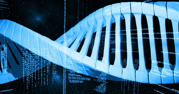 Imagen Cadena Adn Procesamiento Datos Sobre Fondo Negro Concepto Ciencia —  Fotos de Stock