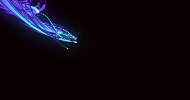 Siyah arkaplan üzerinde ışık izlerinin canlandırılması. Soyut arkaplan ve dijital arayüz kavramı dijital olarak oluşturulmuş video.